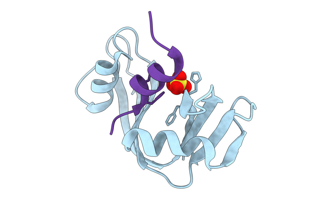 1RBC image