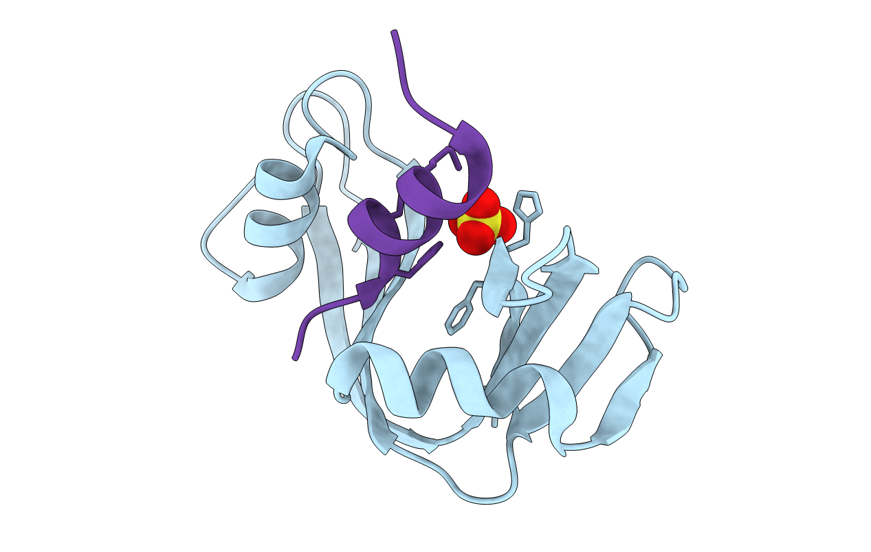 1RBD image