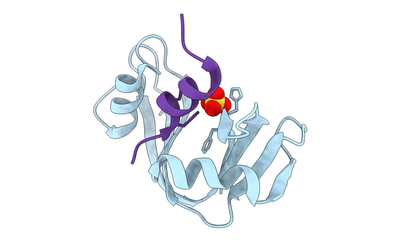1RBH image