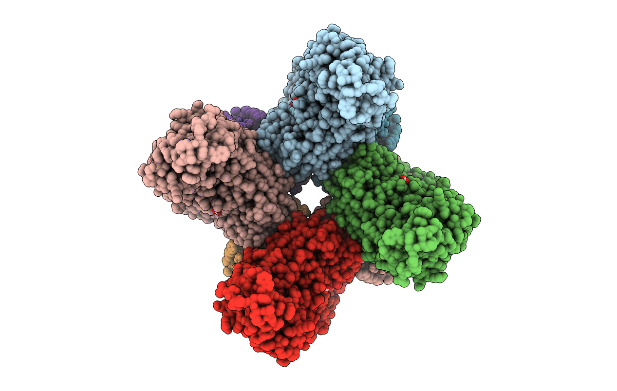 1RBO image