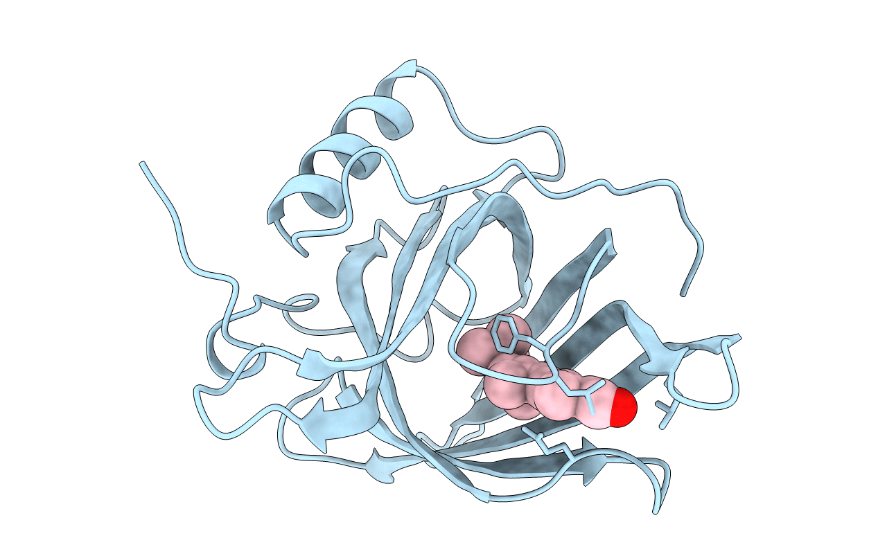 1RBP image
