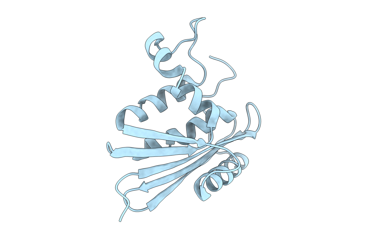 1RBV image