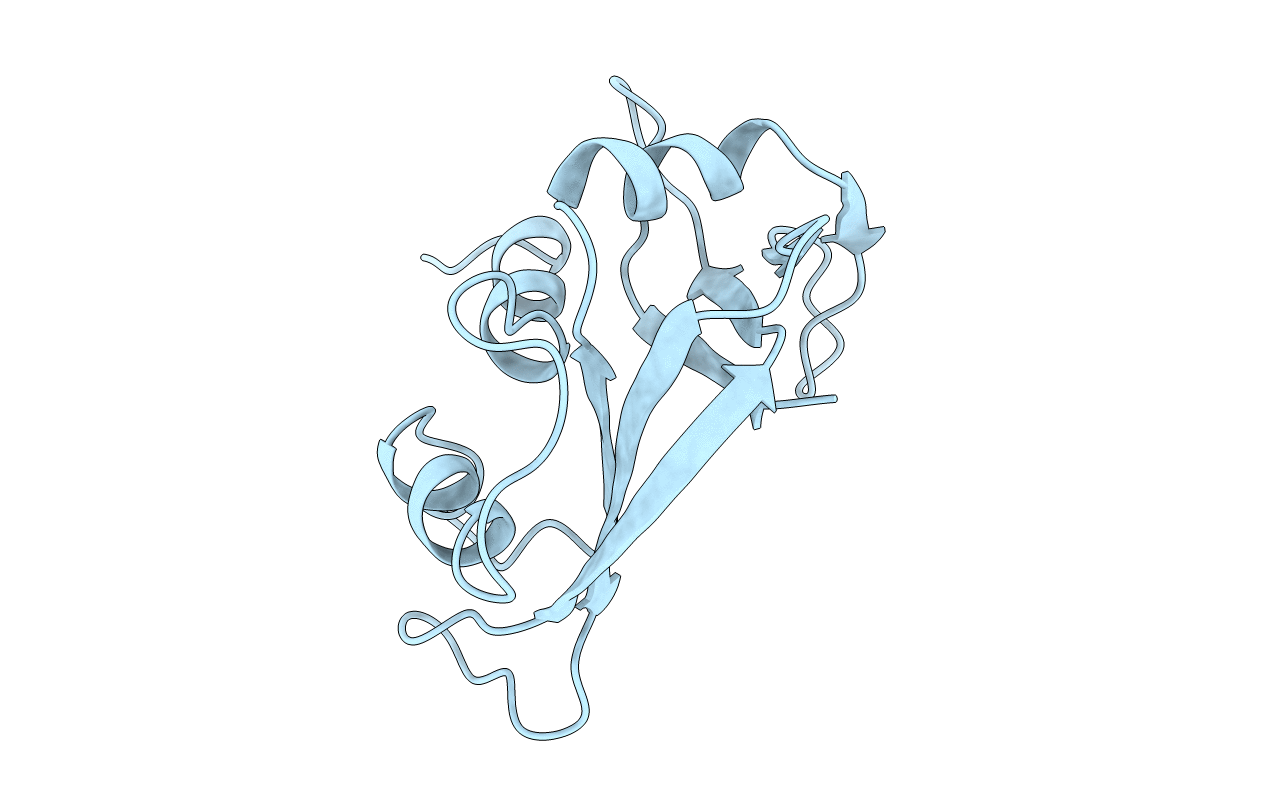 1RBX image