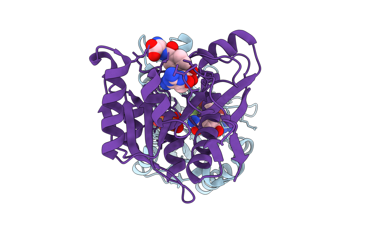 1RC1 image
