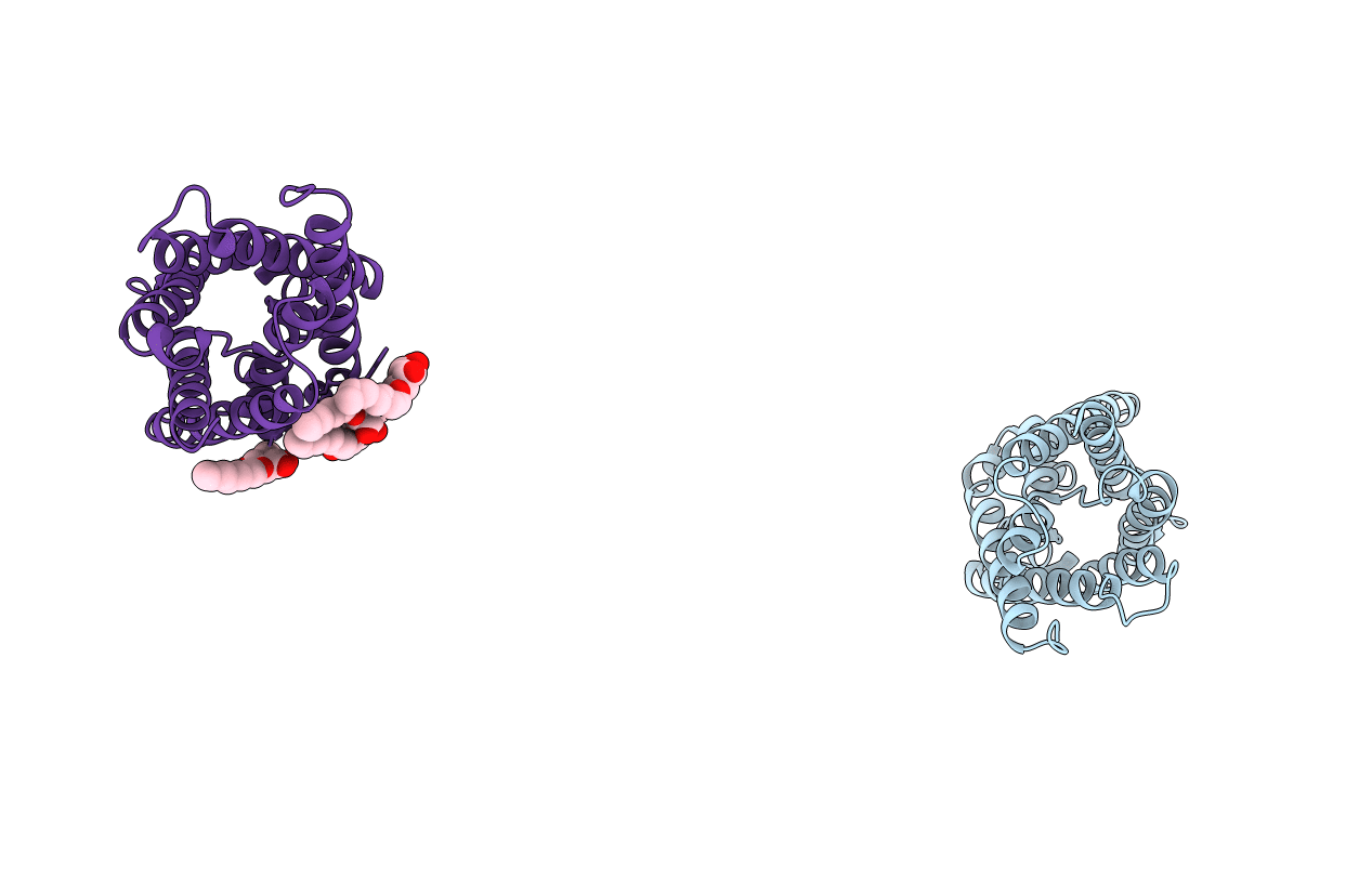 1RC2 image