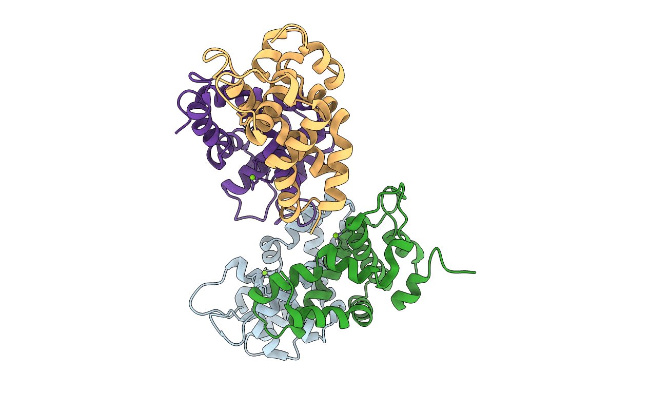 1RC5 image