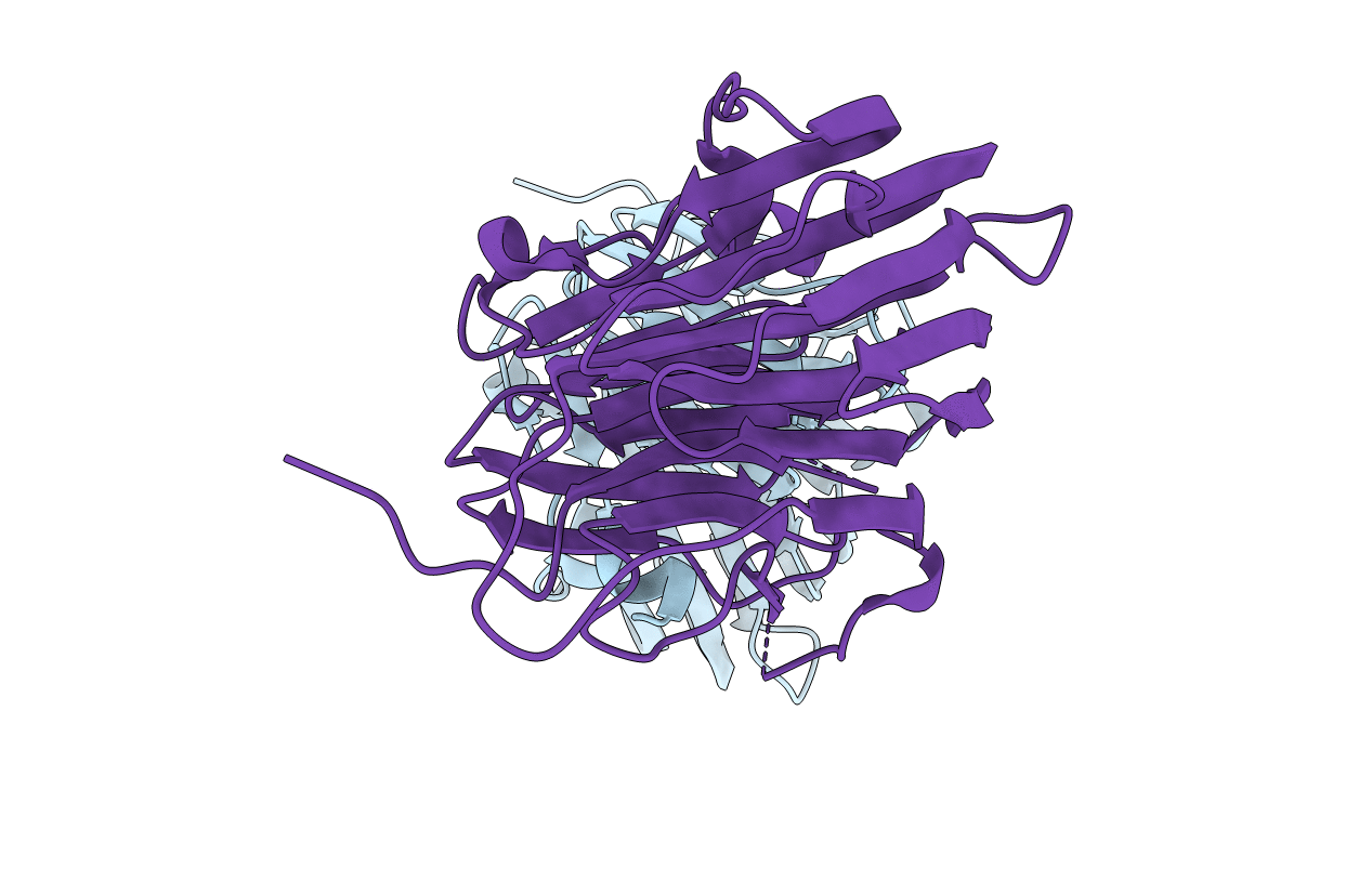 1RC6 image