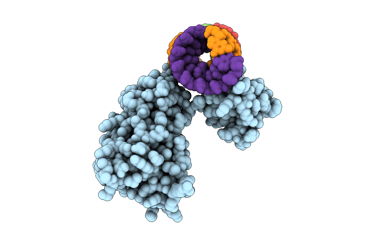 1RC7 image