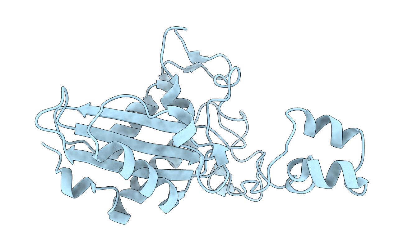 1RC9 image