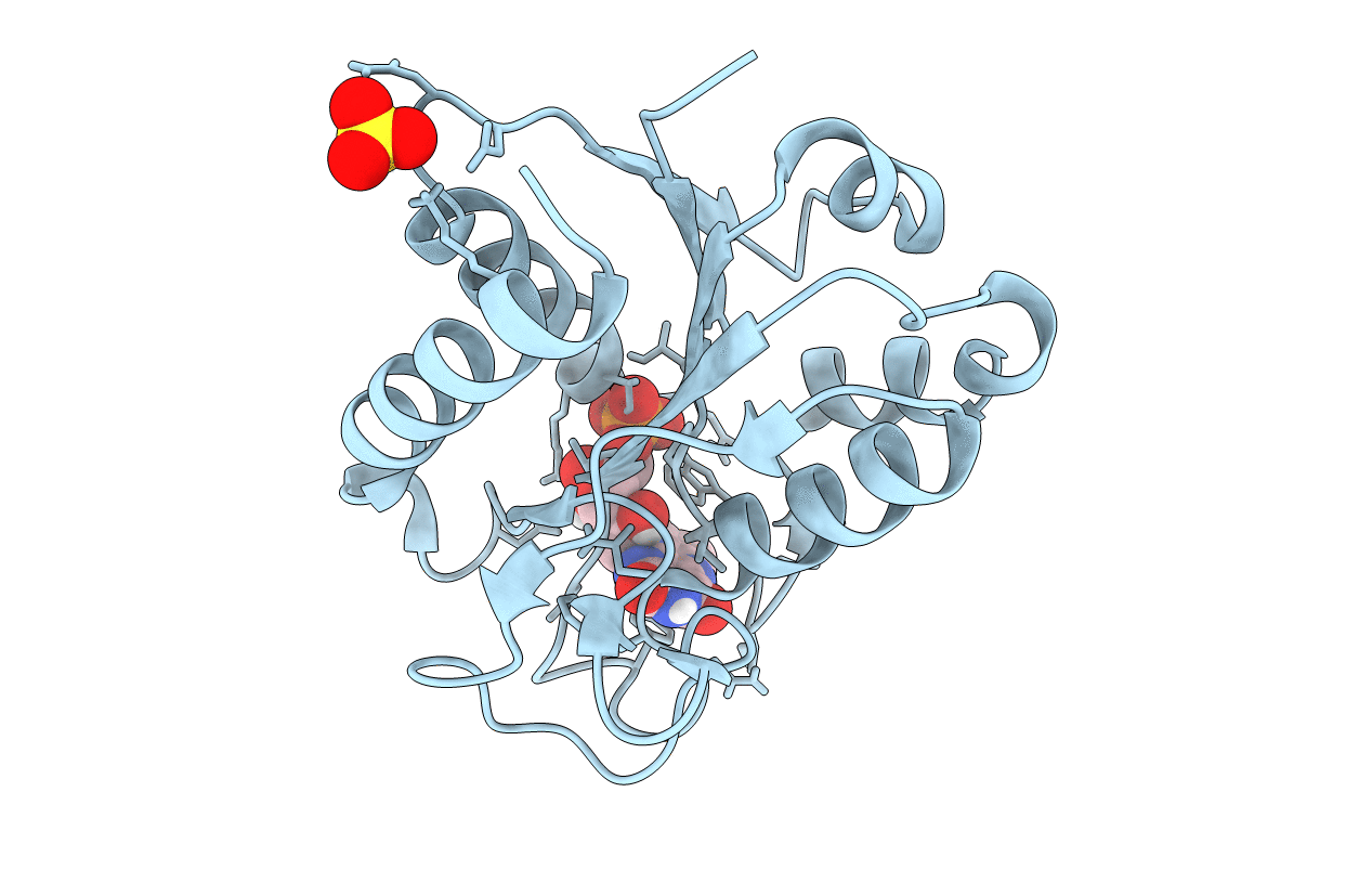 1RCF image