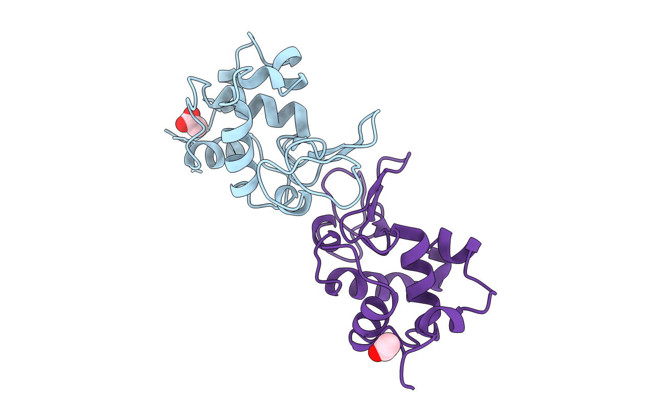1RCM image