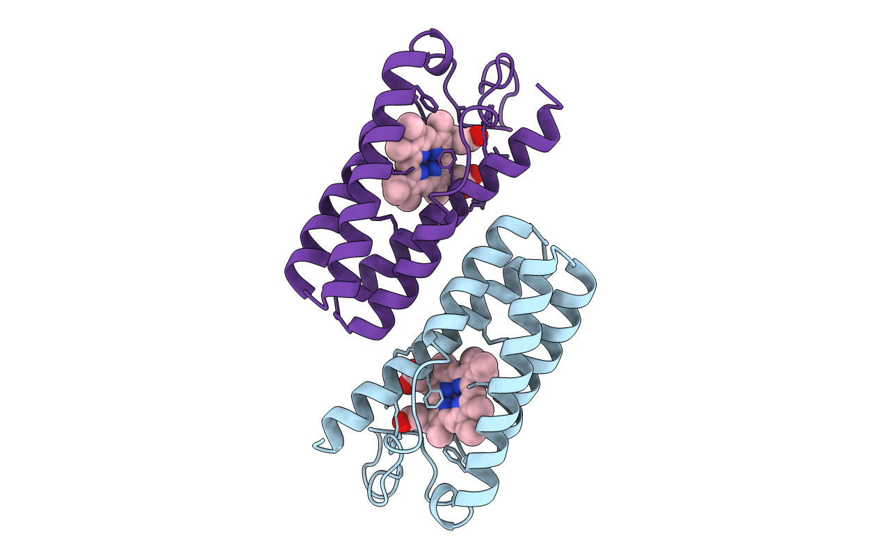1RCP image