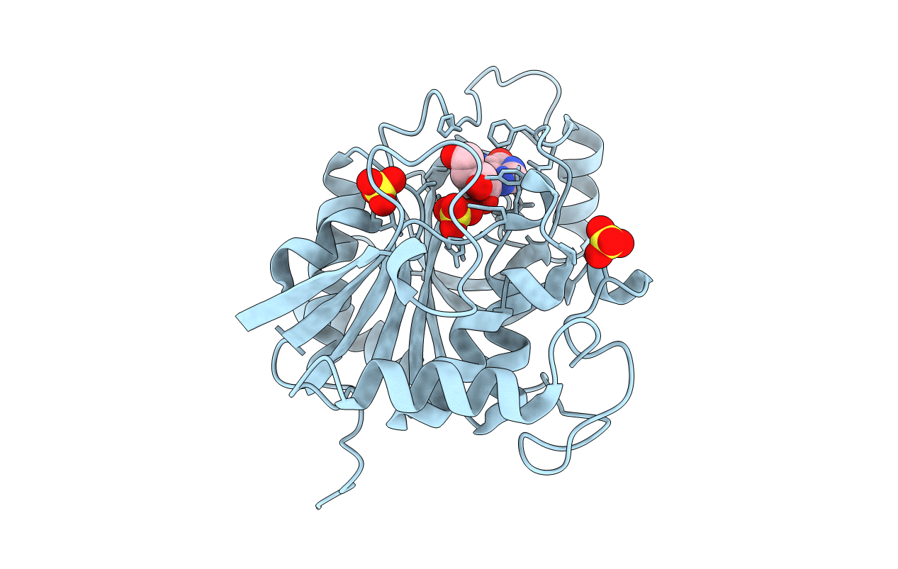 1RCT image