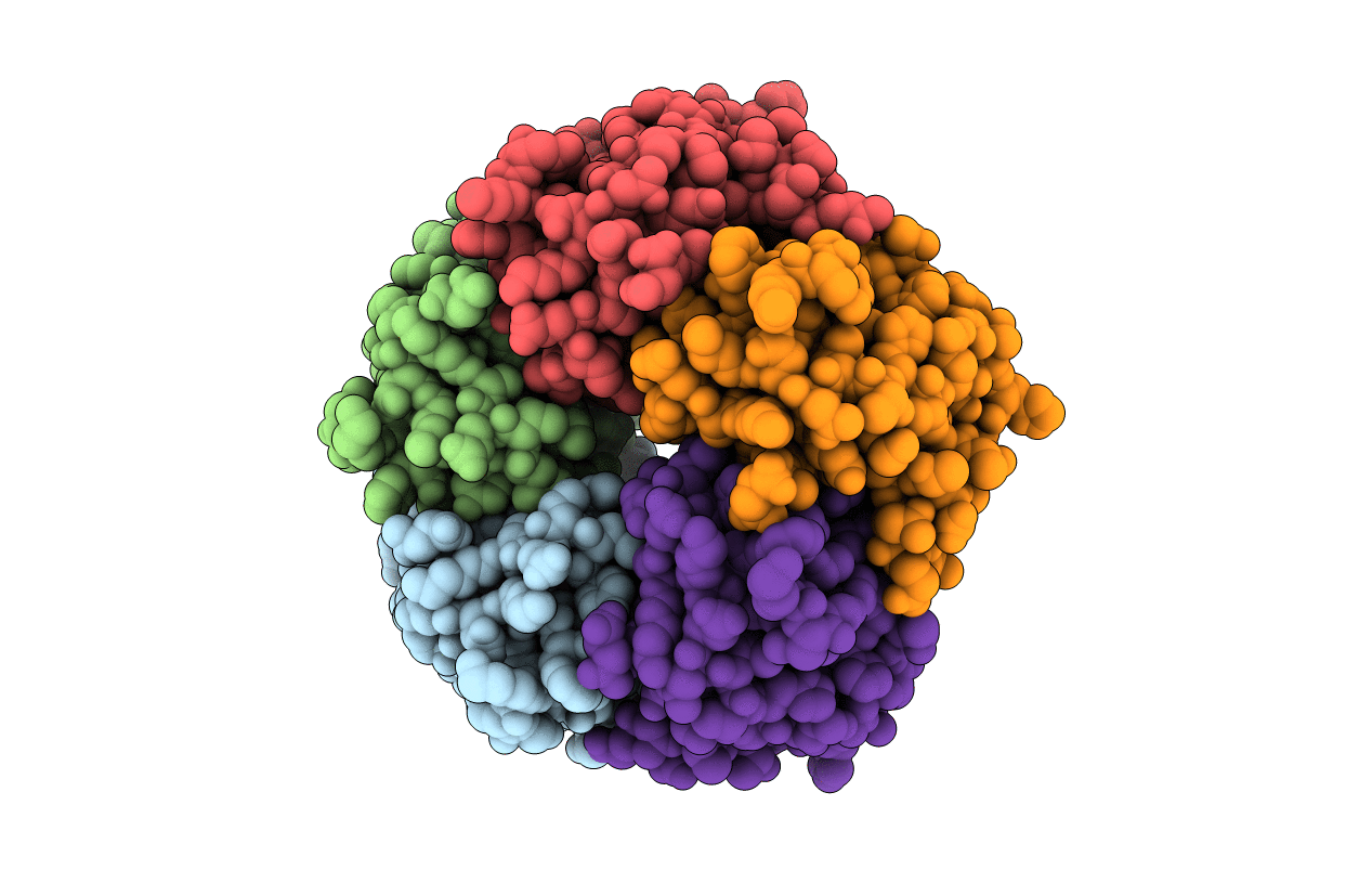 1RCV image