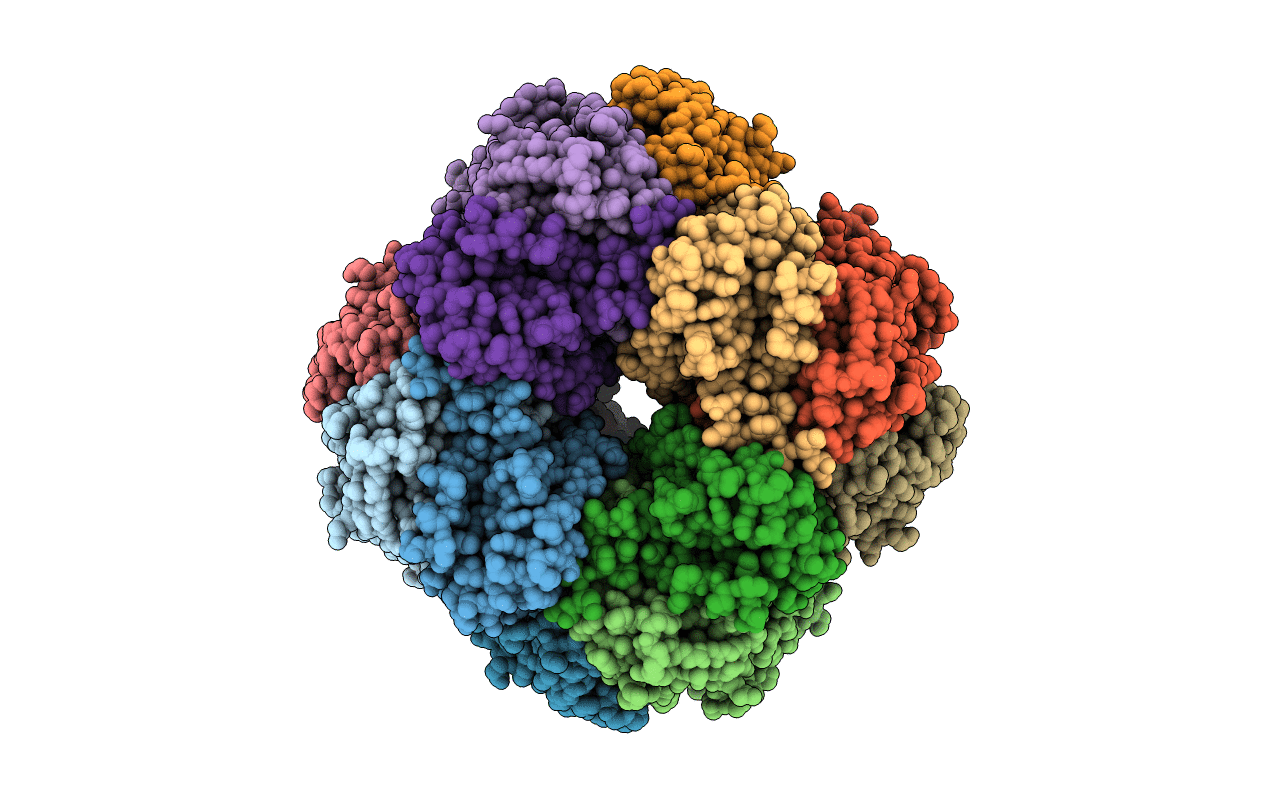 1RCX image