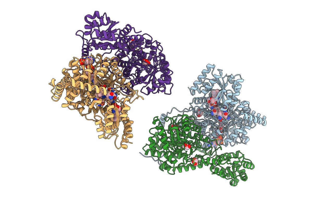 1REQ image