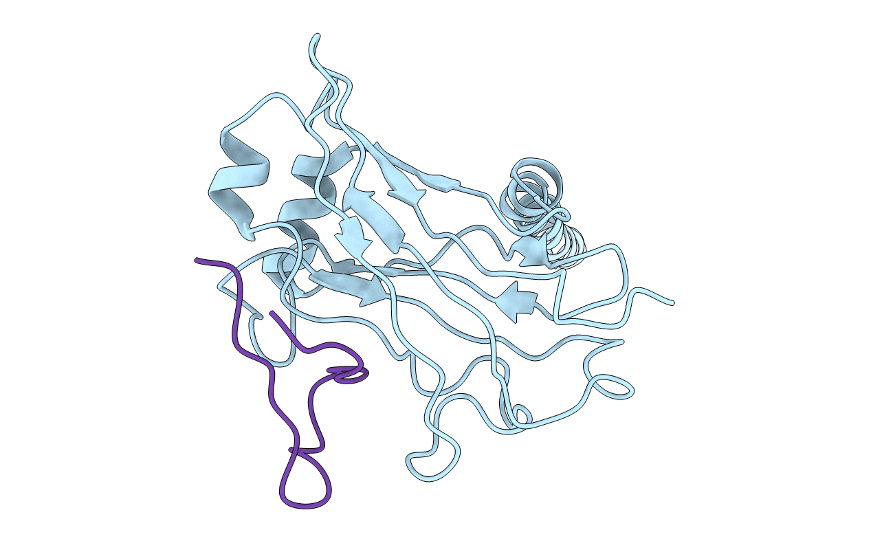 1RF3 image