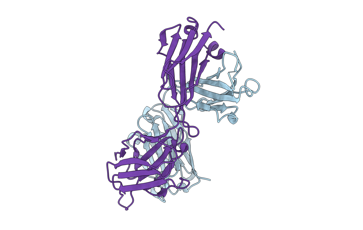 1RFD image