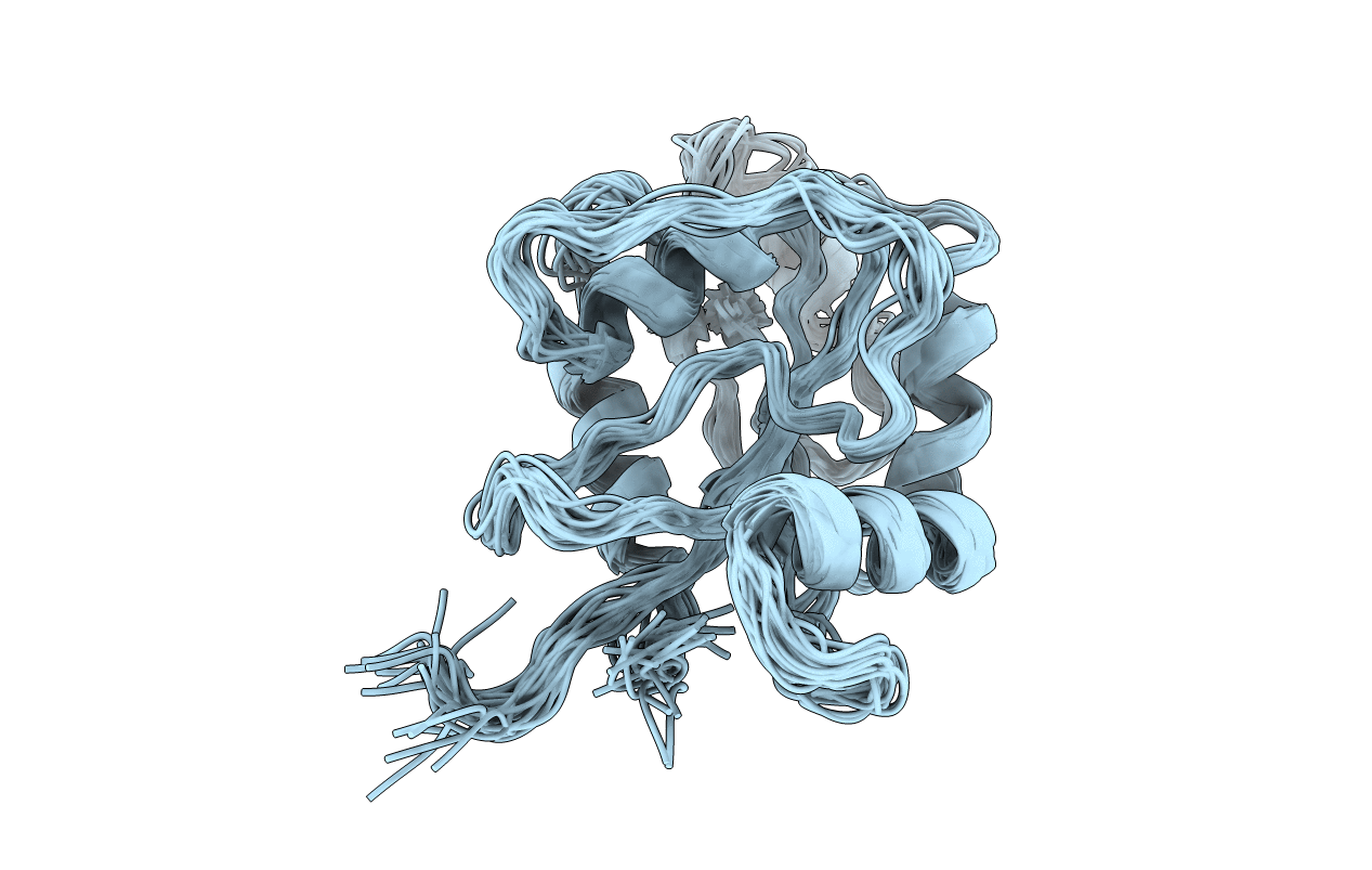 1RFL image