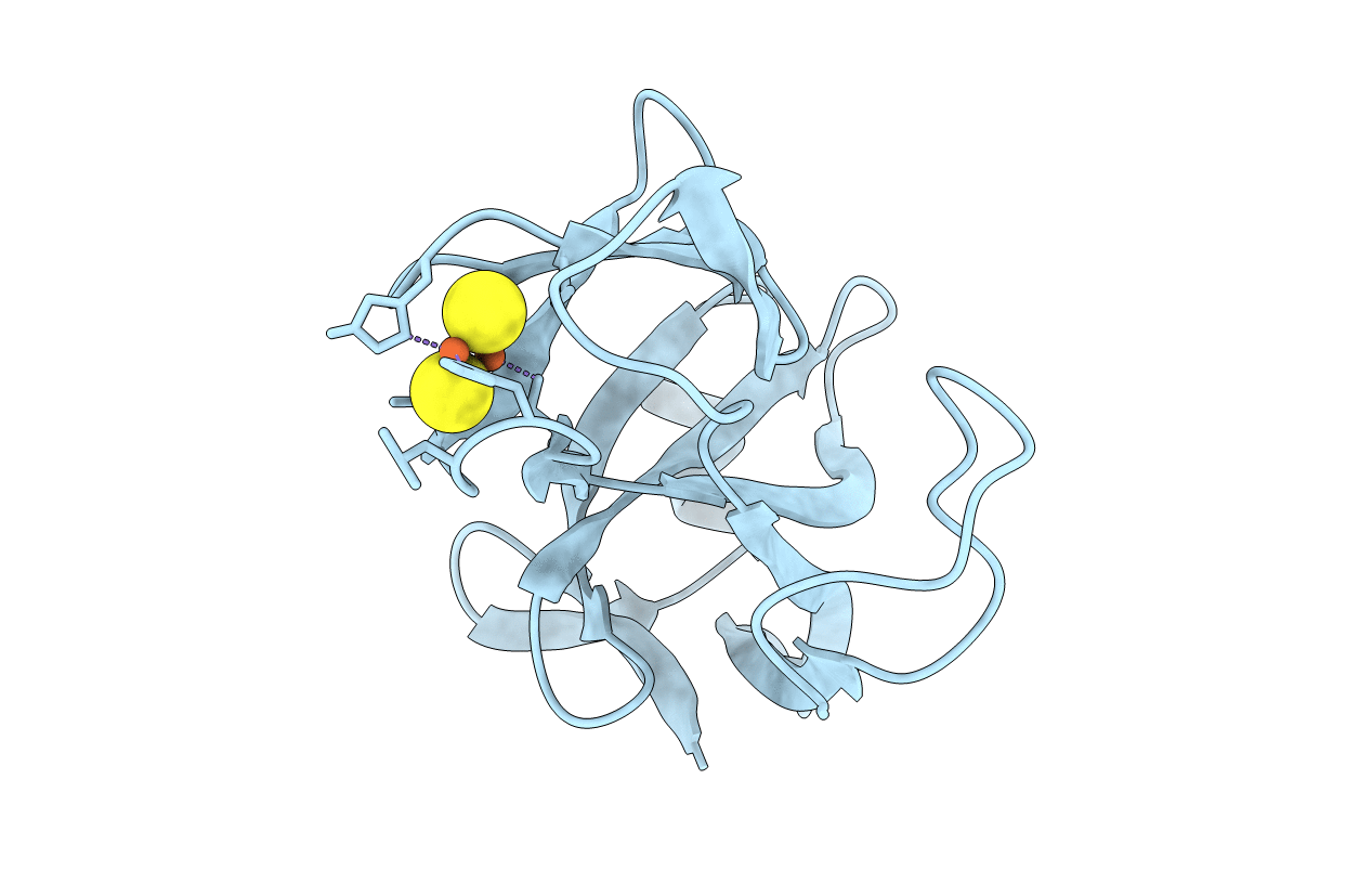 1RFS image