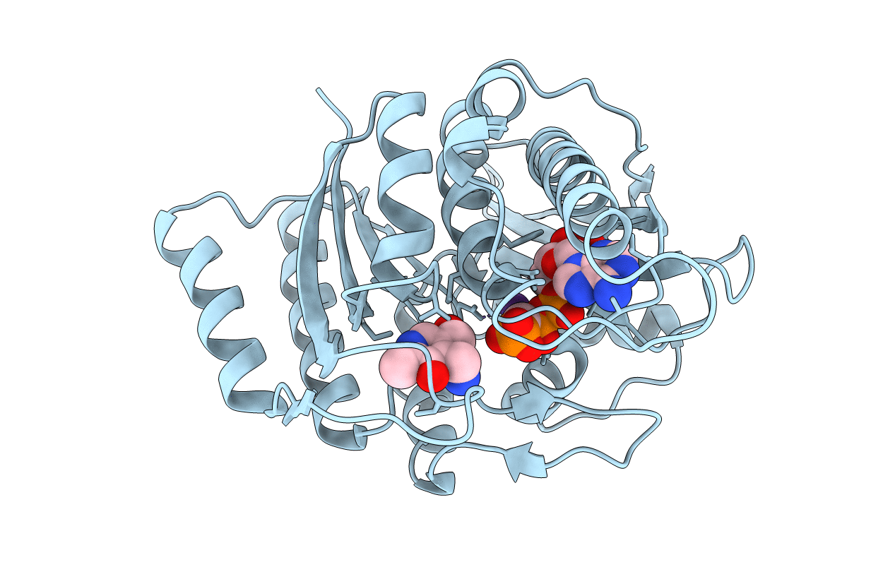 1RFT image