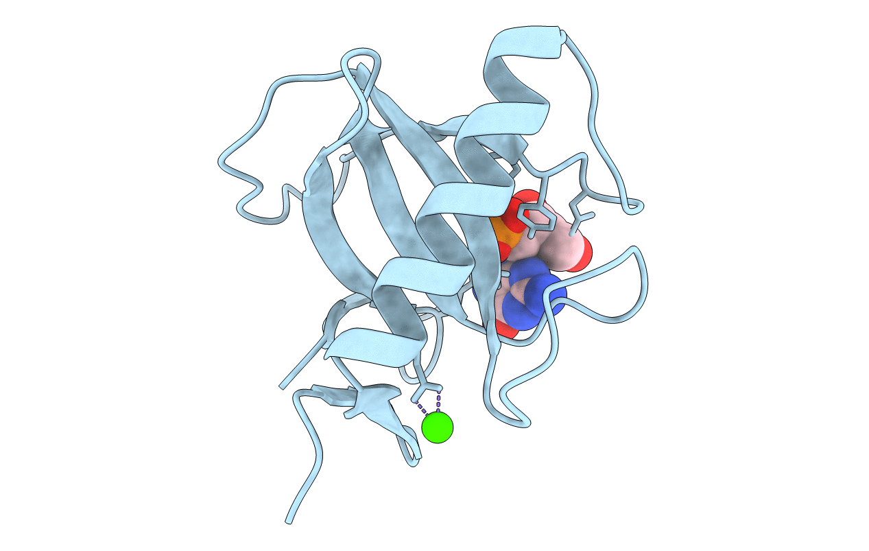 1RGL image