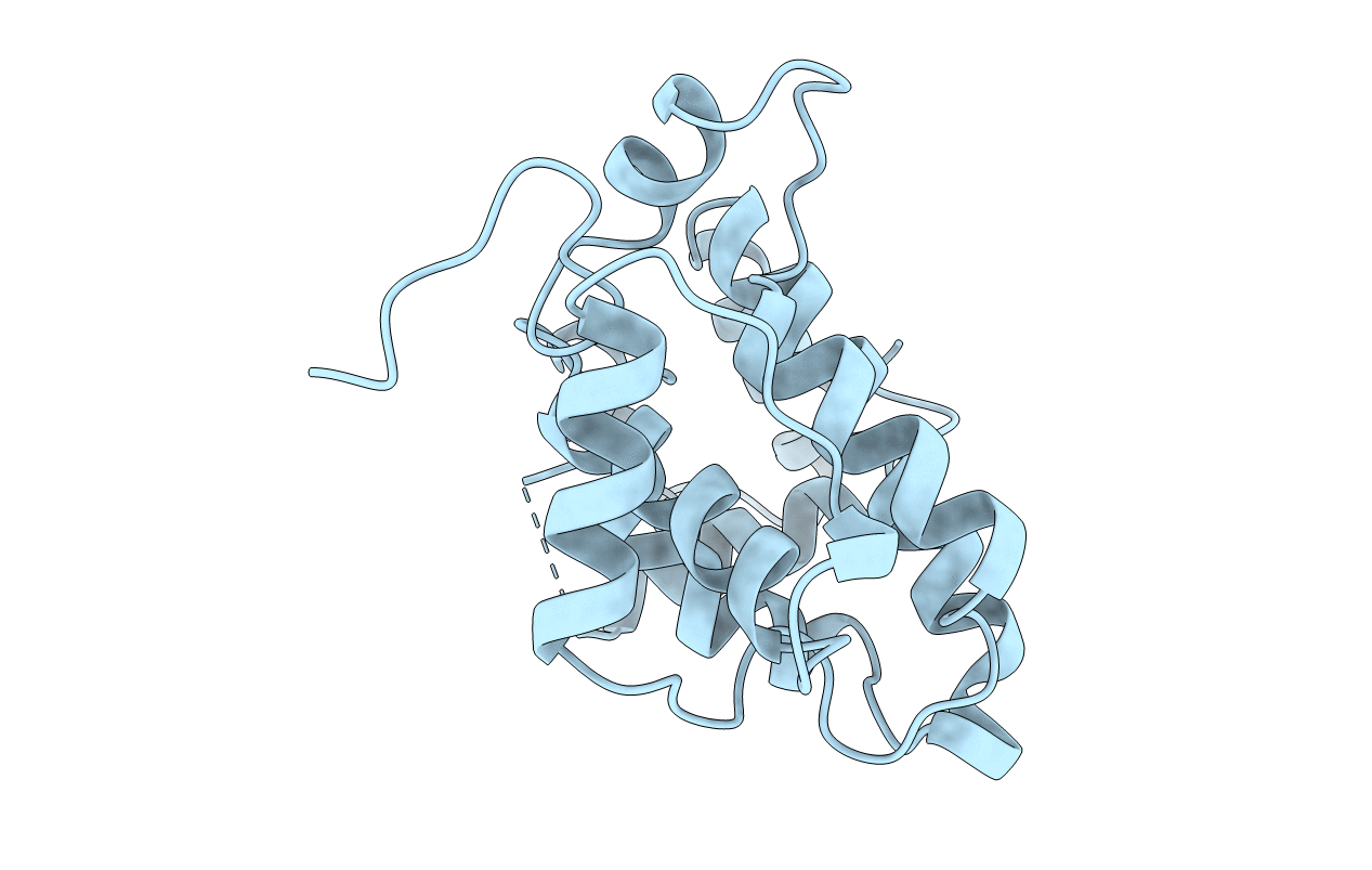 1RGP image