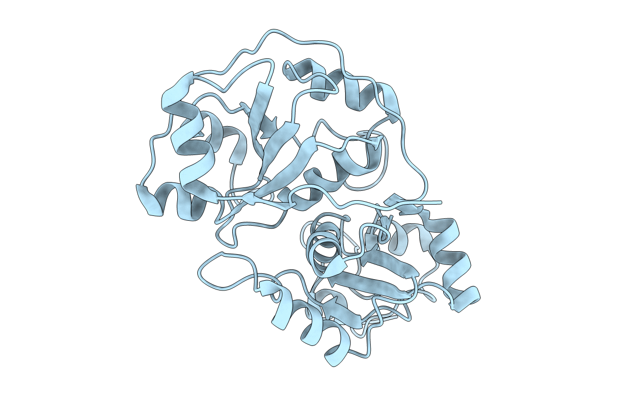 1RHD image
