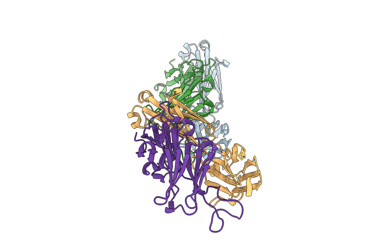 1RHH image