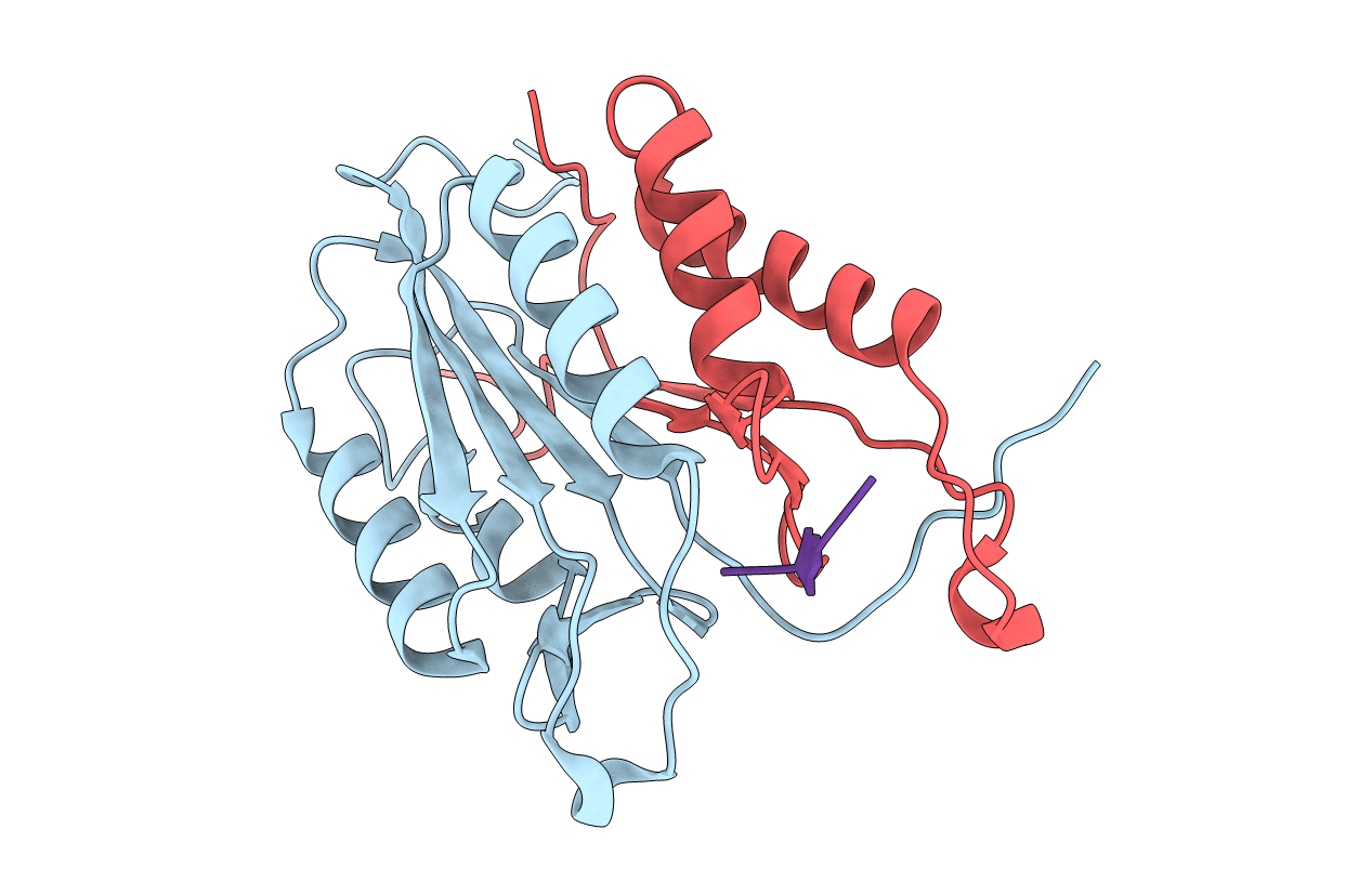 1RHK image