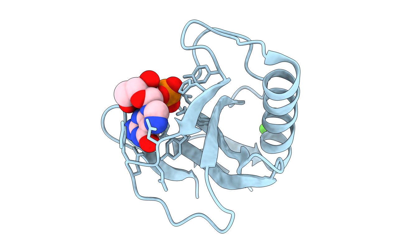 1RHL image
