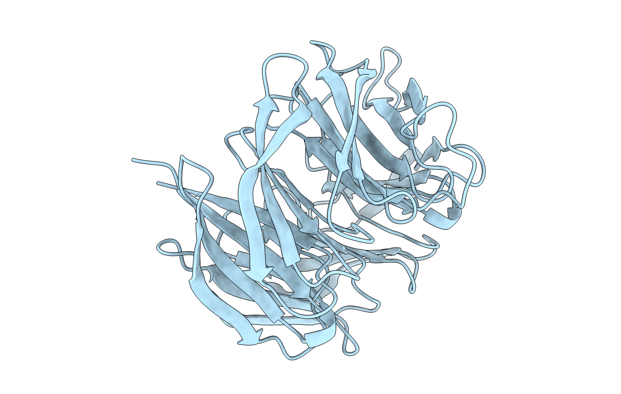 1RI6 image