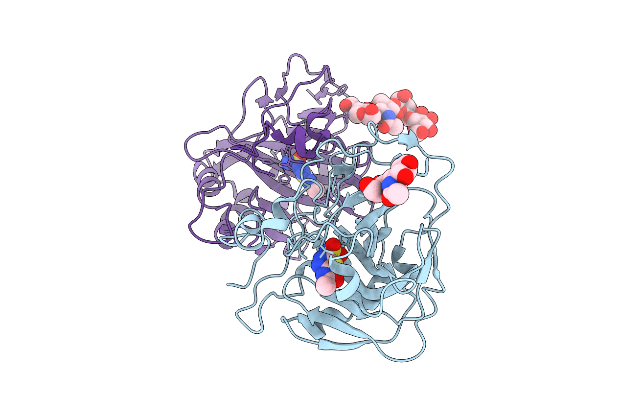 1RJ6 image