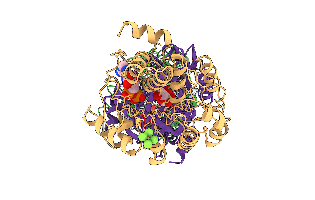 1RK2 image