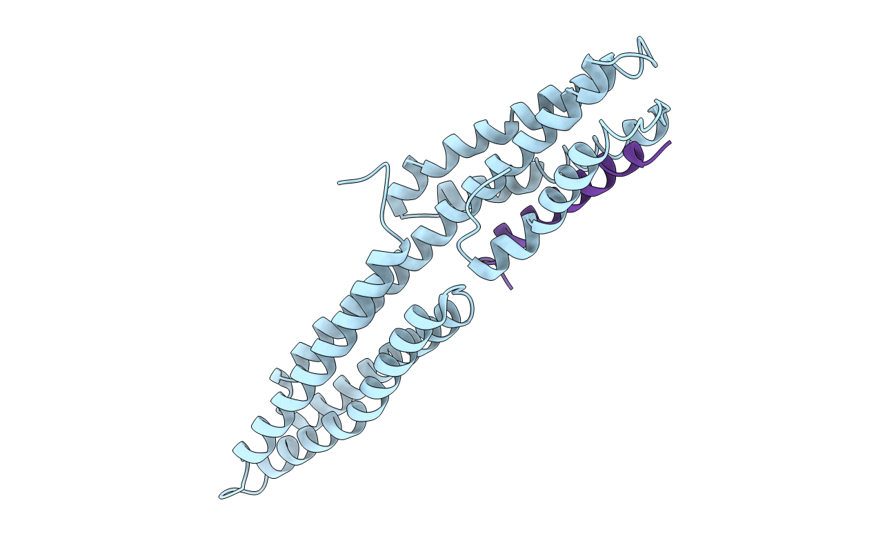 1RKC image