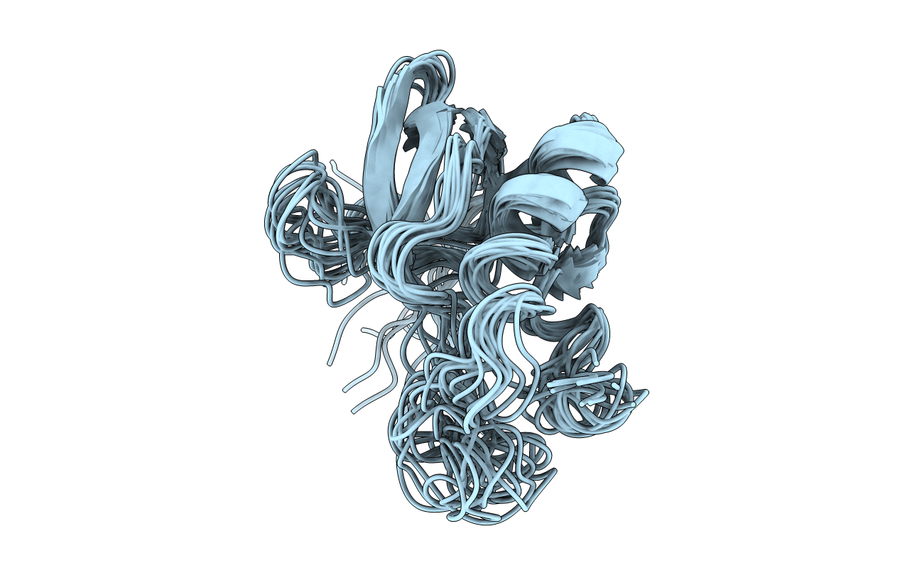 1RKN image