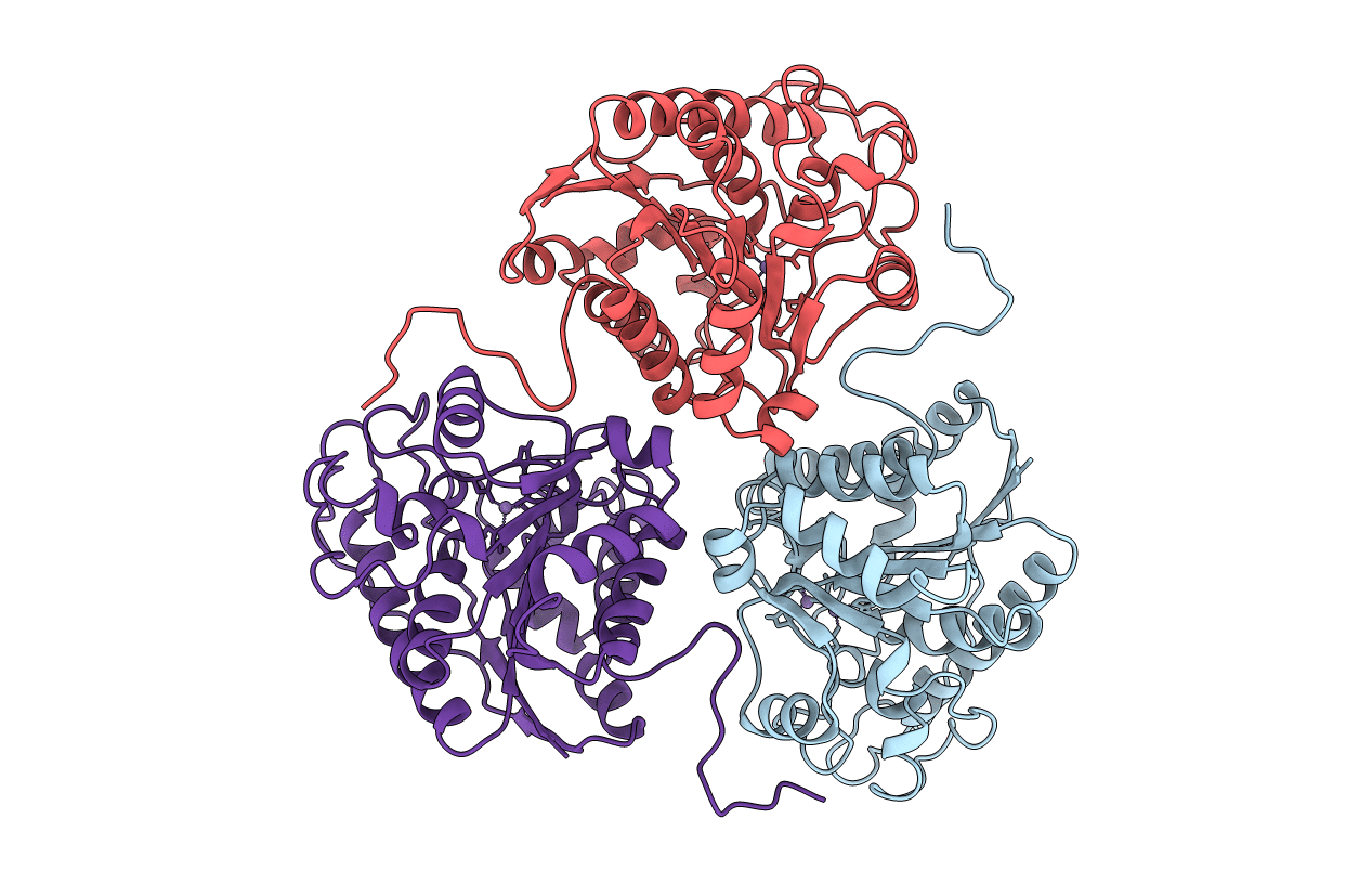 1RLA image