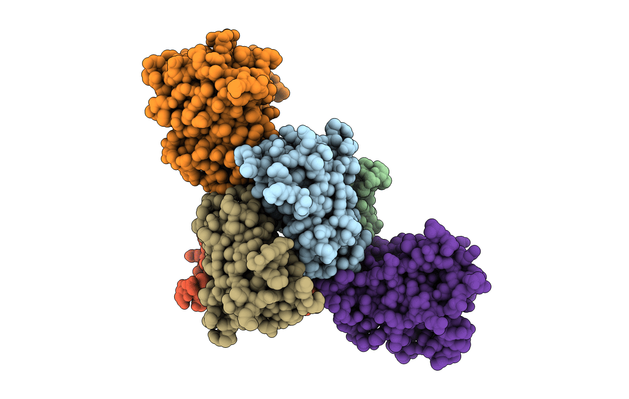 1RLB image