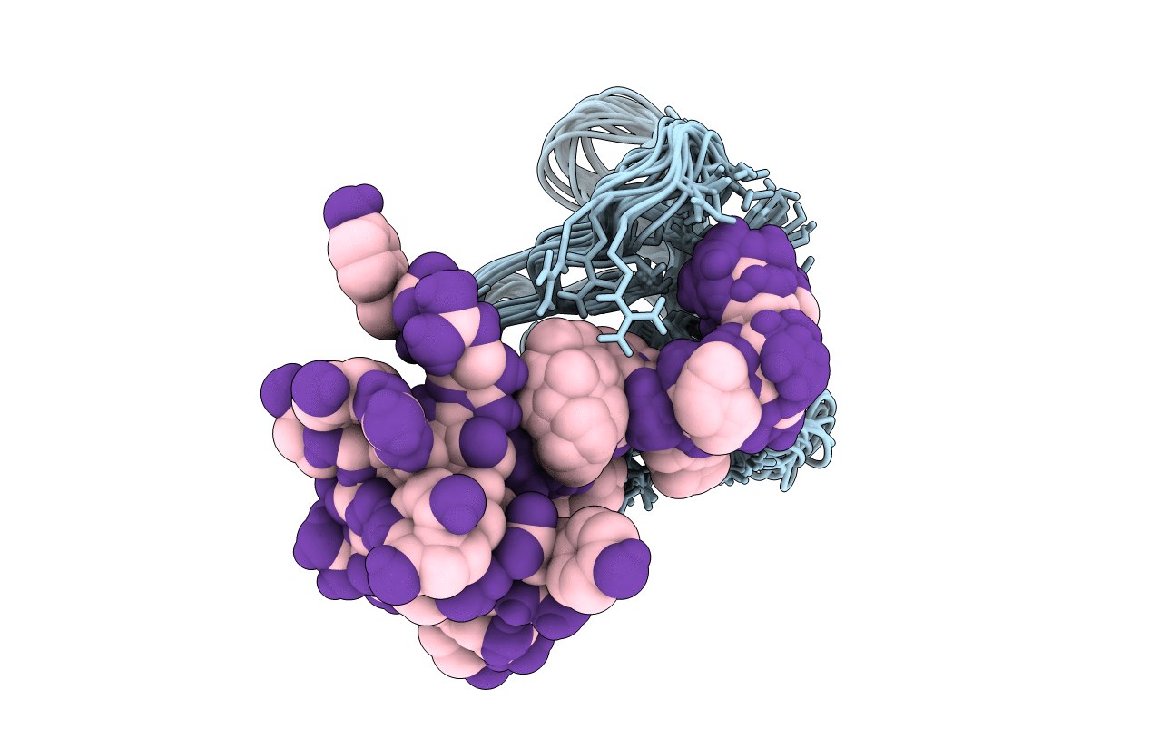 1RLP image