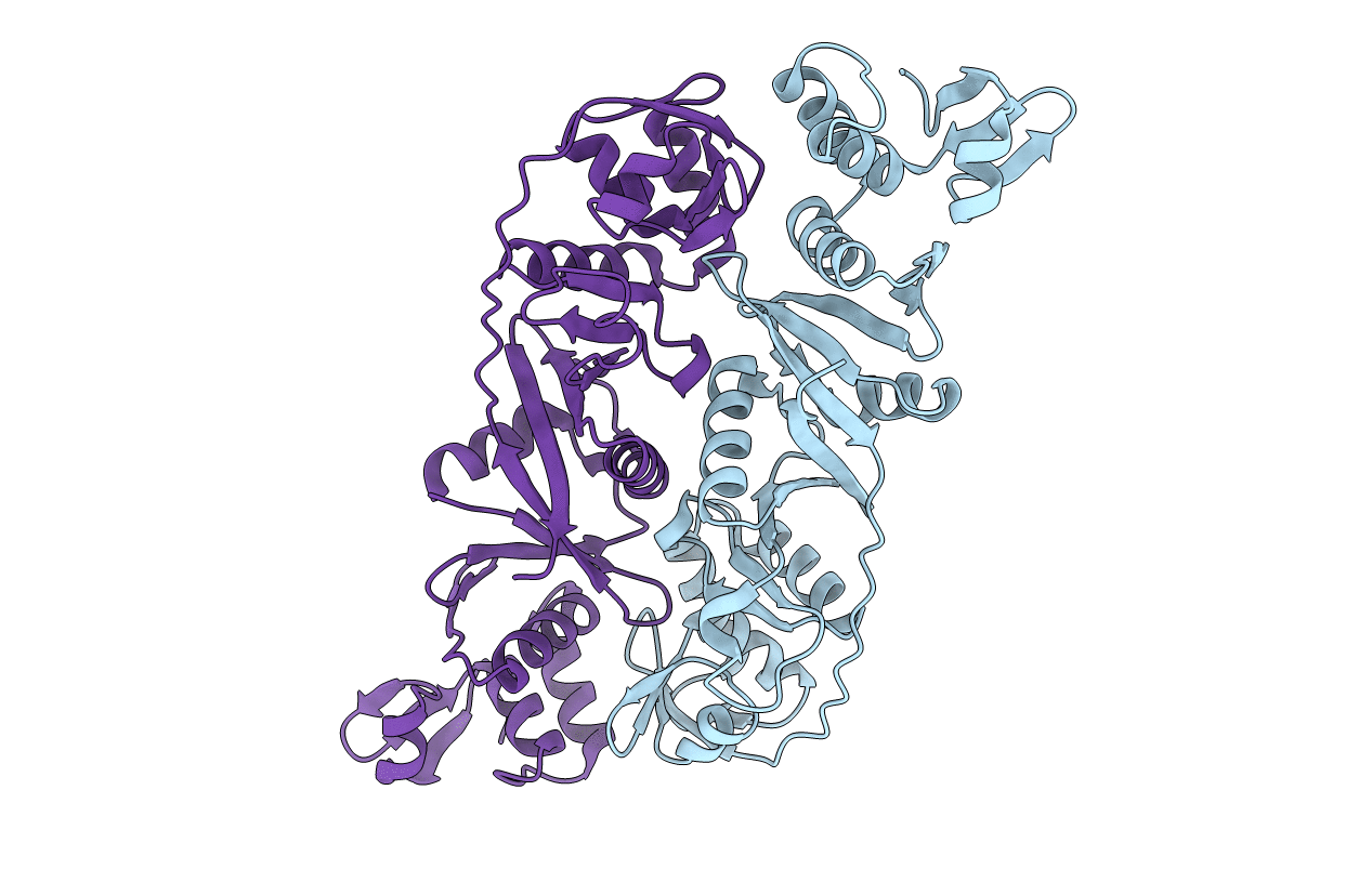 1RLV image