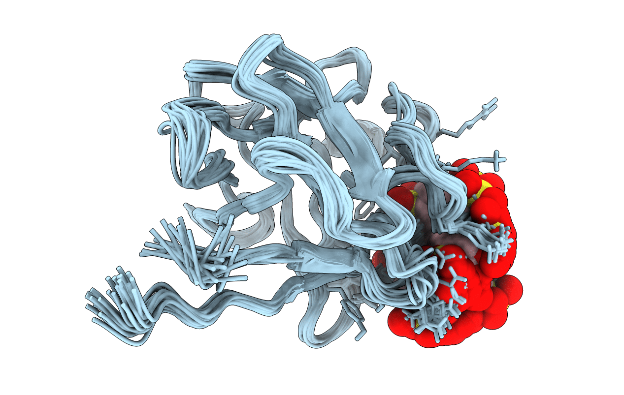1RML image