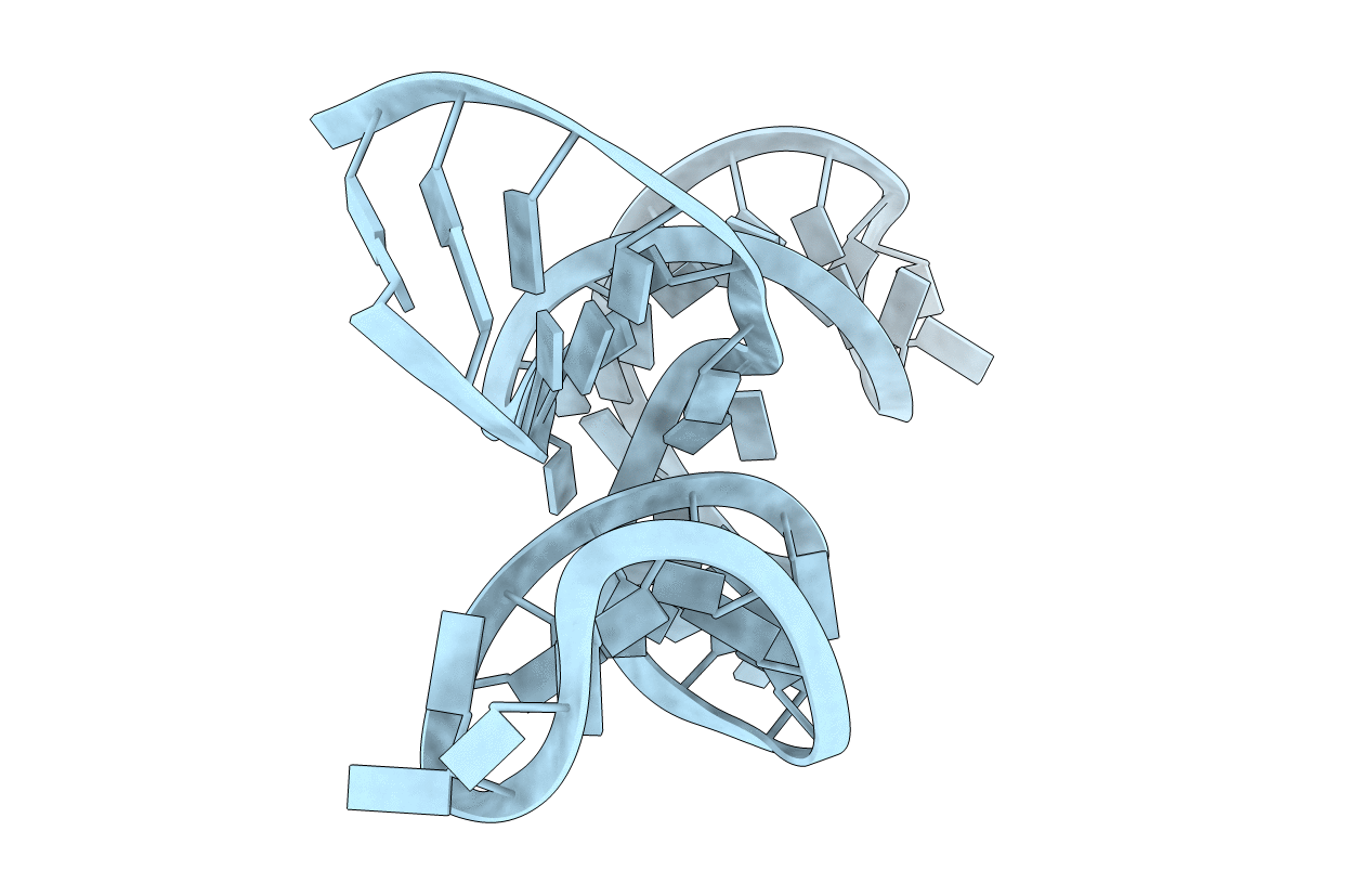 1RMN image