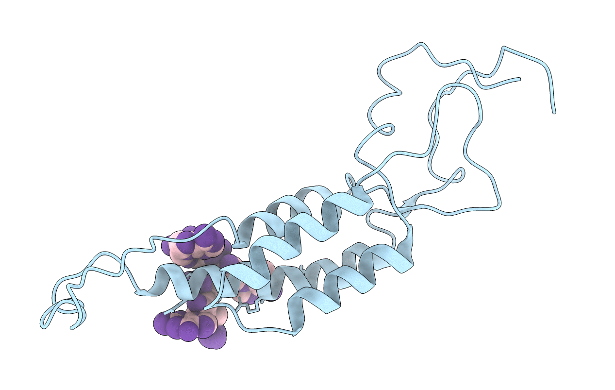 1RMV image
