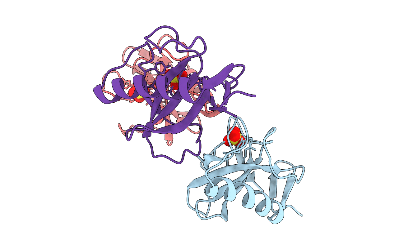 1RN1 image