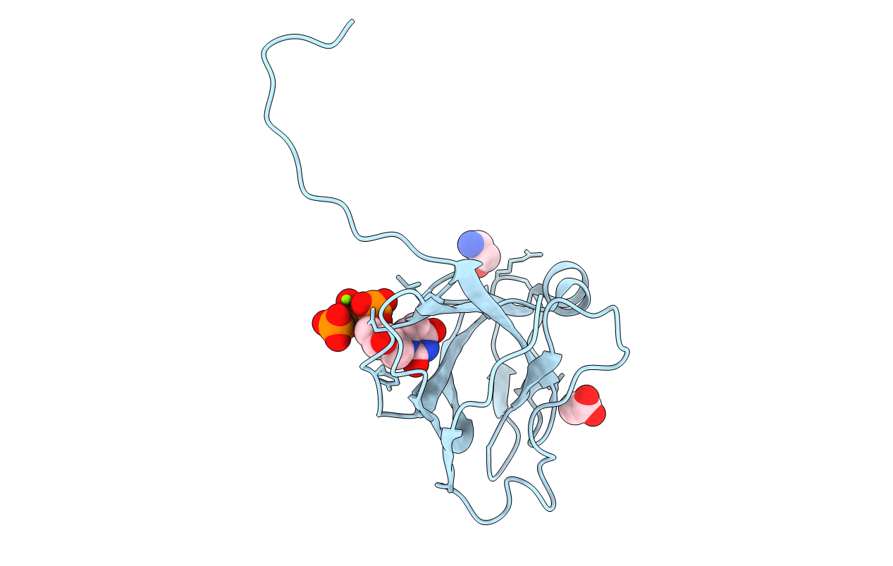 1RN8 image