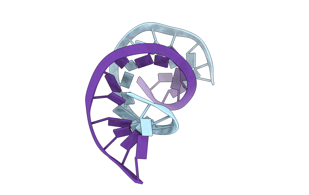 1RNA image
