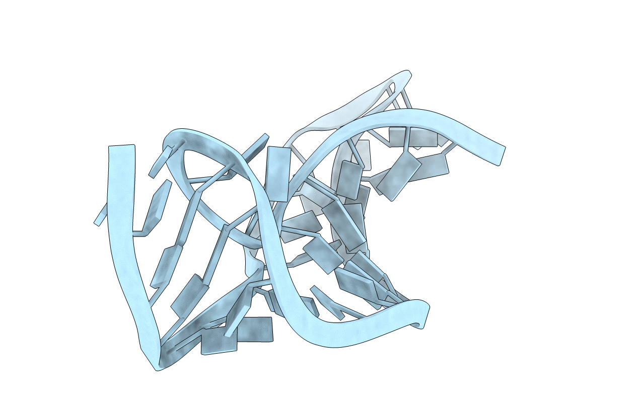 1RNK image