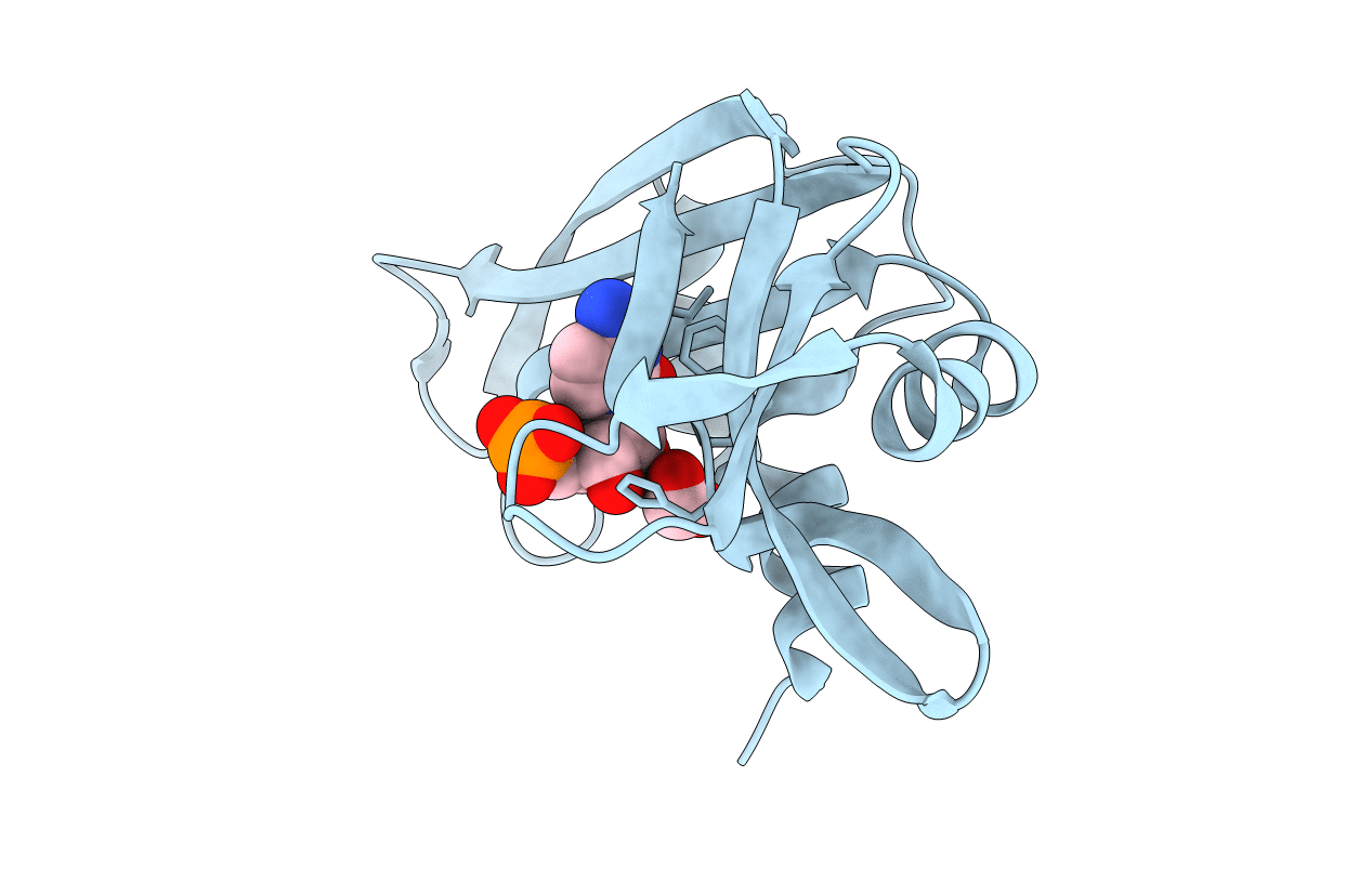 1RNN image