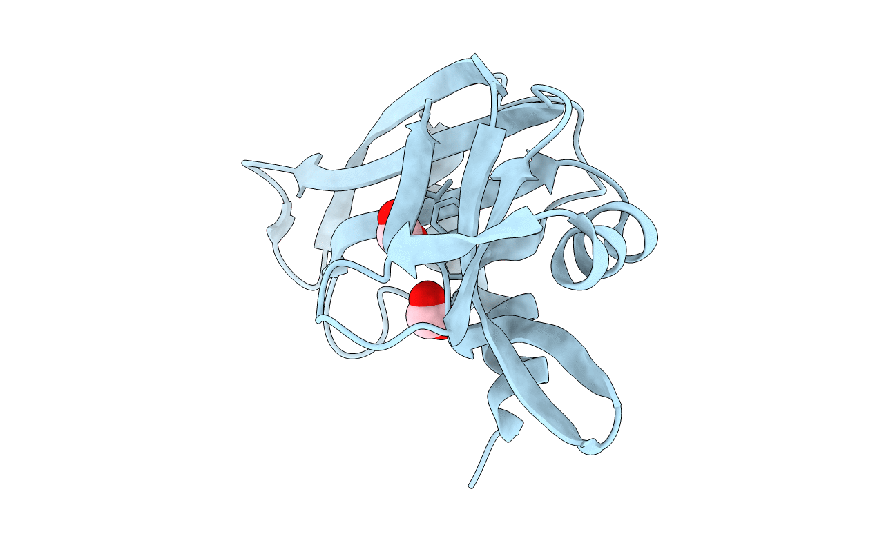 1RNQ image