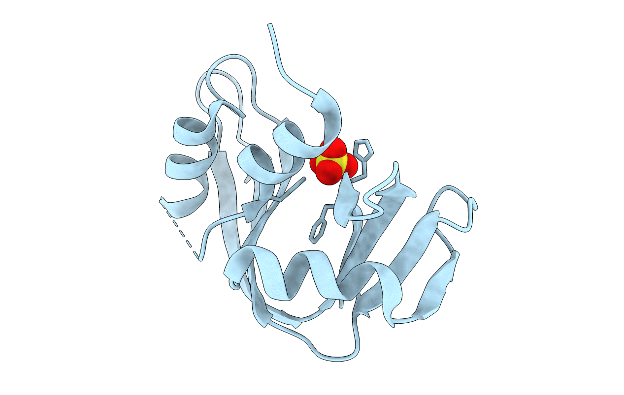 1RNV image